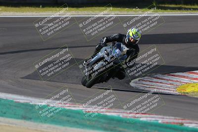 media/Mar-17-2024-Fastrack Riders (Sun) [[c7d6f8c14c]]/Level 2/Turn 6/